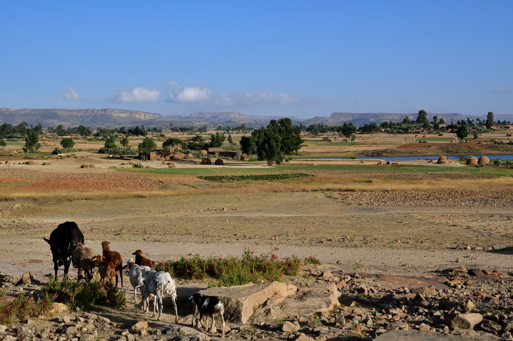 Adigrat to Hawzien